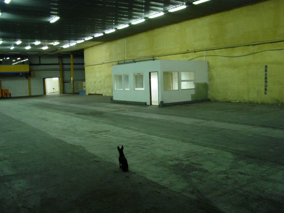 › Foto: archiv Čtyři dny