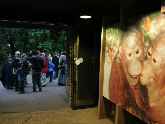 › Foto: archiv Čtyři dny