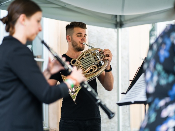 Alinde Quintet | Markéta M. Černá