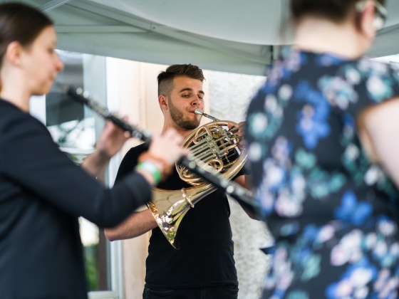 Alinde Quintet | Markéta M. Černá