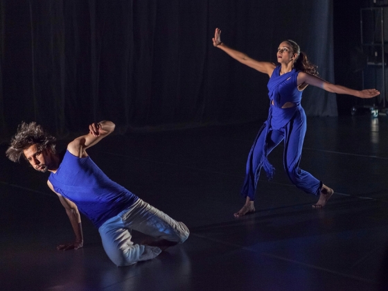 Attakkalari Centre for Movement Arts | <h4>Aadhaara Chakra, A Dancedialogue</h4>
14. 10. 2013, Divadlo Archa