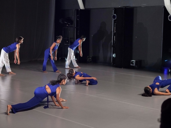 Attakkalari Centre for Movement Arts | <h4>Aadhaara Chakra, A Dancedialogue</h4>
14. 10. 2013, Divadlo Archa