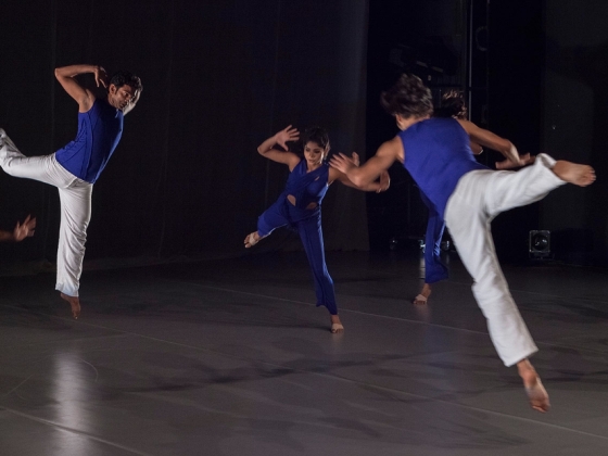 Attakkalari Centre for Movement Arts | <h4>Aadhaara Chakra, A Dancedialogue</h4>
14. 10. 2013, Divadlo Archa