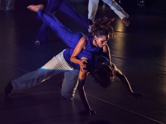 Attakkalari Centre for Movement Arts | <h4>Aadhaara Chakra, A Dancedialogue</h4>
14. 10. 2013, Divadlo Archa