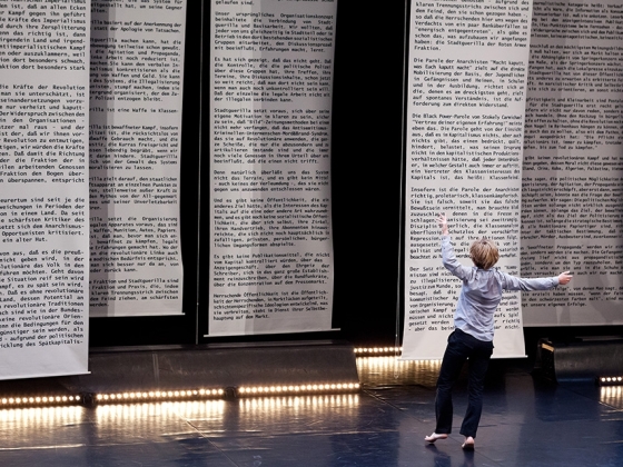 Christoph Winkler | <h4>BAADER – Choreografie radikalizace</h4>
30. 10. / 19:30, Divadlo Archa