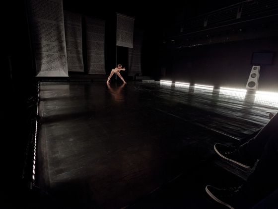 Christoph Winkler | <h4>BAADER – Choreografie radikalizace</h4>
30. 10. / 19:30, Divadlo Archa