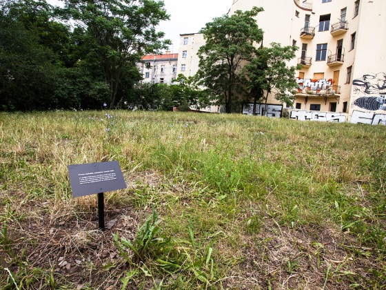 Jiří Kovanda: JÍLEK | 