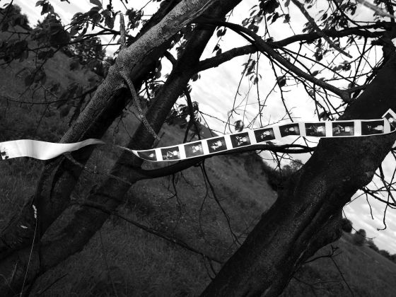 K sobě (zkoušky 2) | Foto: Simon Hierman