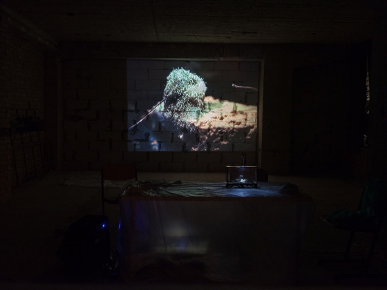 Knowtilus | <h4>Prezentace site-specific projektů z ateliéru Divadelní tvorba v netradičních prostorech KALD DAMU</h4>
17. 10. 2013, Palác u Stýblů