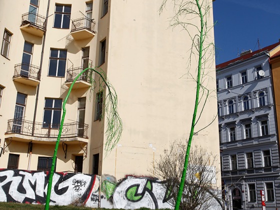 Krištof Kintera – Repainting Nature | 