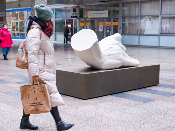 Monika Horčicová: Ruka | Foto: David Černý