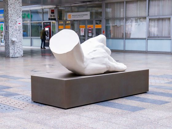 Monika Horčicová: Ruka | Foto: David Černý