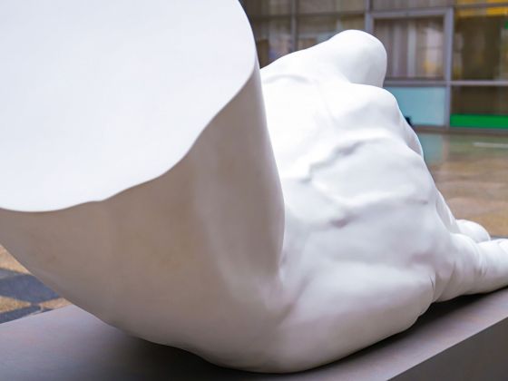 Monika Horčicová: Ruka | Foto: David Černý