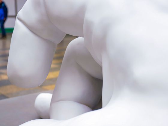 Monika Horčicová: Ruka | Foto: David Černý