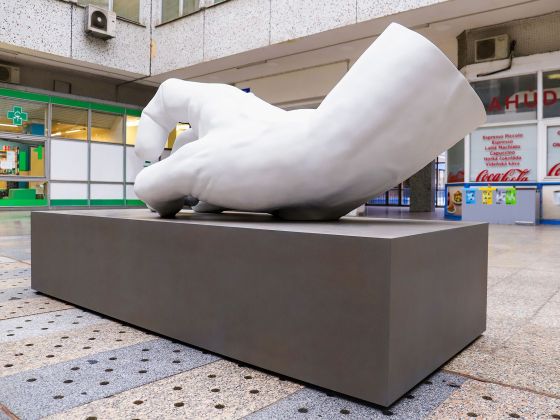 Monika Horčicová: Ruka | Foto: David Černý