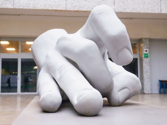 Monika Horčicová: Ruka | Foto: David Černý