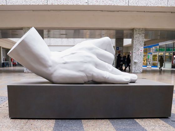 Monika Horčicová: Ruka | Foto: David Černý