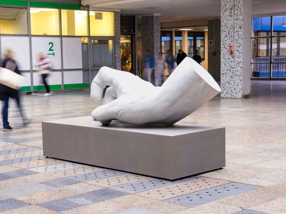 Monika Horčicová: Ruka | Foto: David Černý