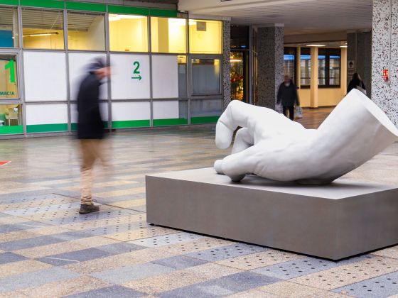 Monika Horčicová: Ruka | Foto: David Černý