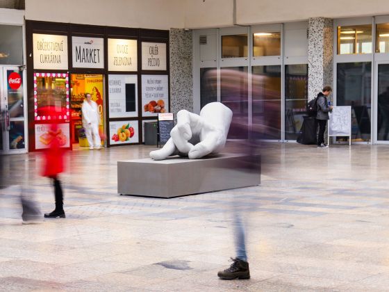 Monika Horčicová: Ruka | Foto: David Černý