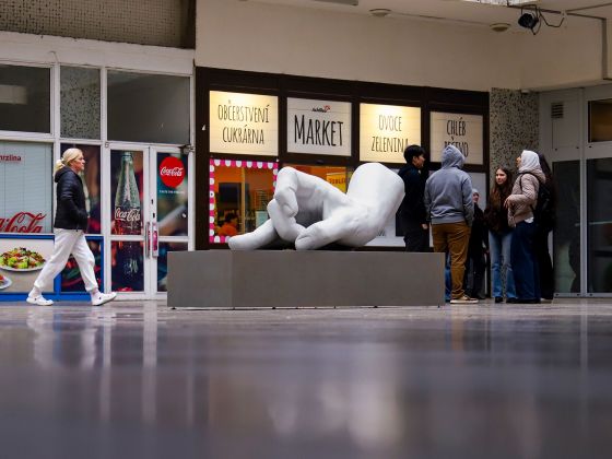 Monika Horčicová: Ruka | Foto: David Černý