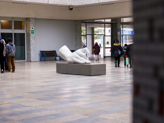 Monika Horčicová: Ruka | Foto: David Černý