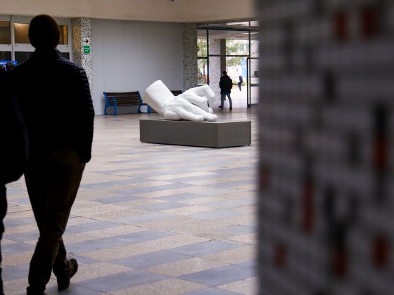 Monika Horčicová: Ruka | Foto: David Černý