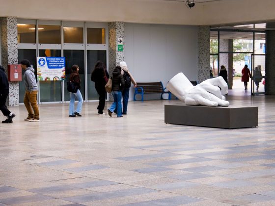 Monika Horčicová: Ruka | Foto: David Černý