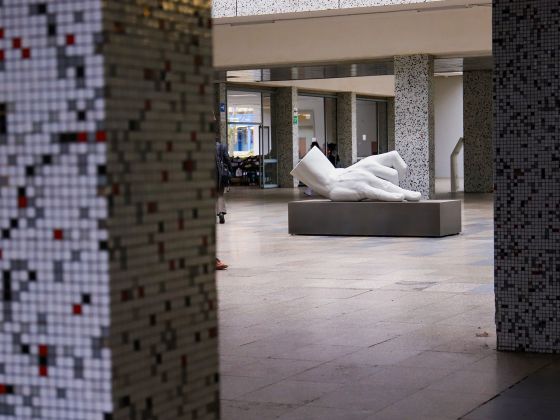 Monika Horčicová: Ruka | Foto: David Černý