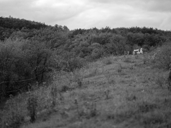 Tantehorse: Děti U | Foto: Markéta M. Černá