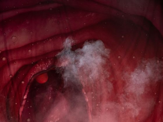 › Foto: Markéta M. Černá