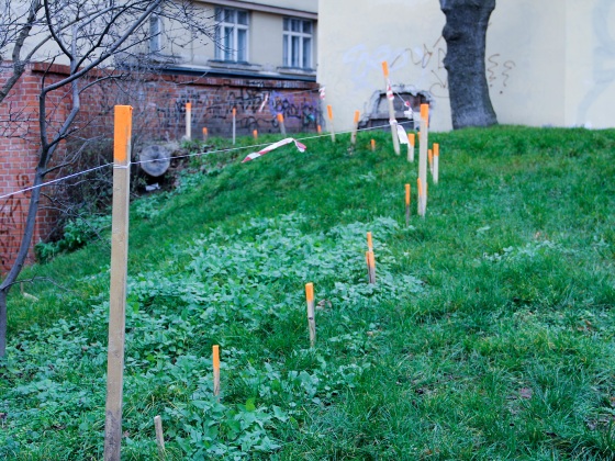 Vladimír Turner: Parcel  | 