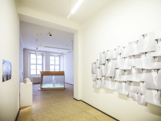 Výstava Independent Research of Subjectivity | Markéta Černá