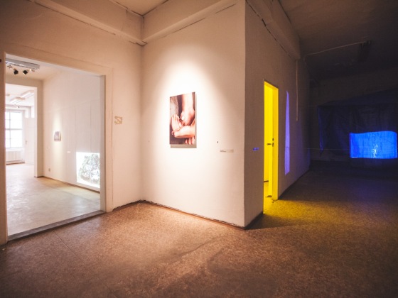 Výstava Independent Research of Subjectivity | Markéta Černá