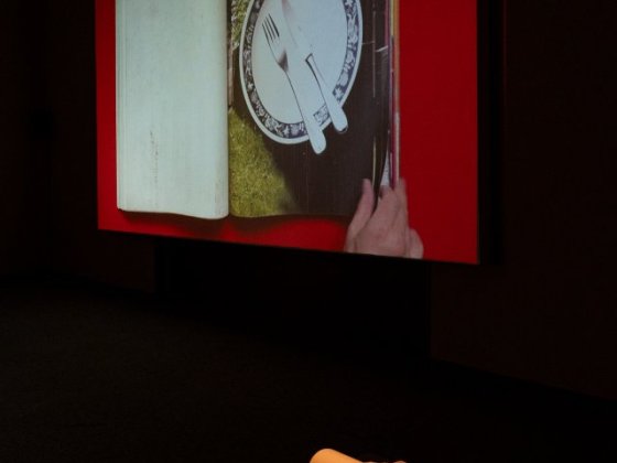 Výstava v_nitro (kurátor: Radek Wohlmuth) | Foto: Markéta M. Černá