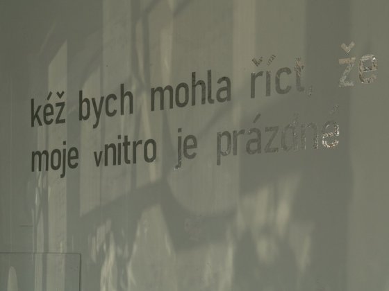 Výstava vNITRO (kurátorka Kristýna Hájková) | Foto: Markéta M. Černá