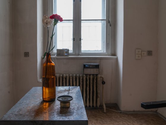 Výstava vNITRO (kurátorka Kristýna Hájková) | Foto: Markéta M. Černá