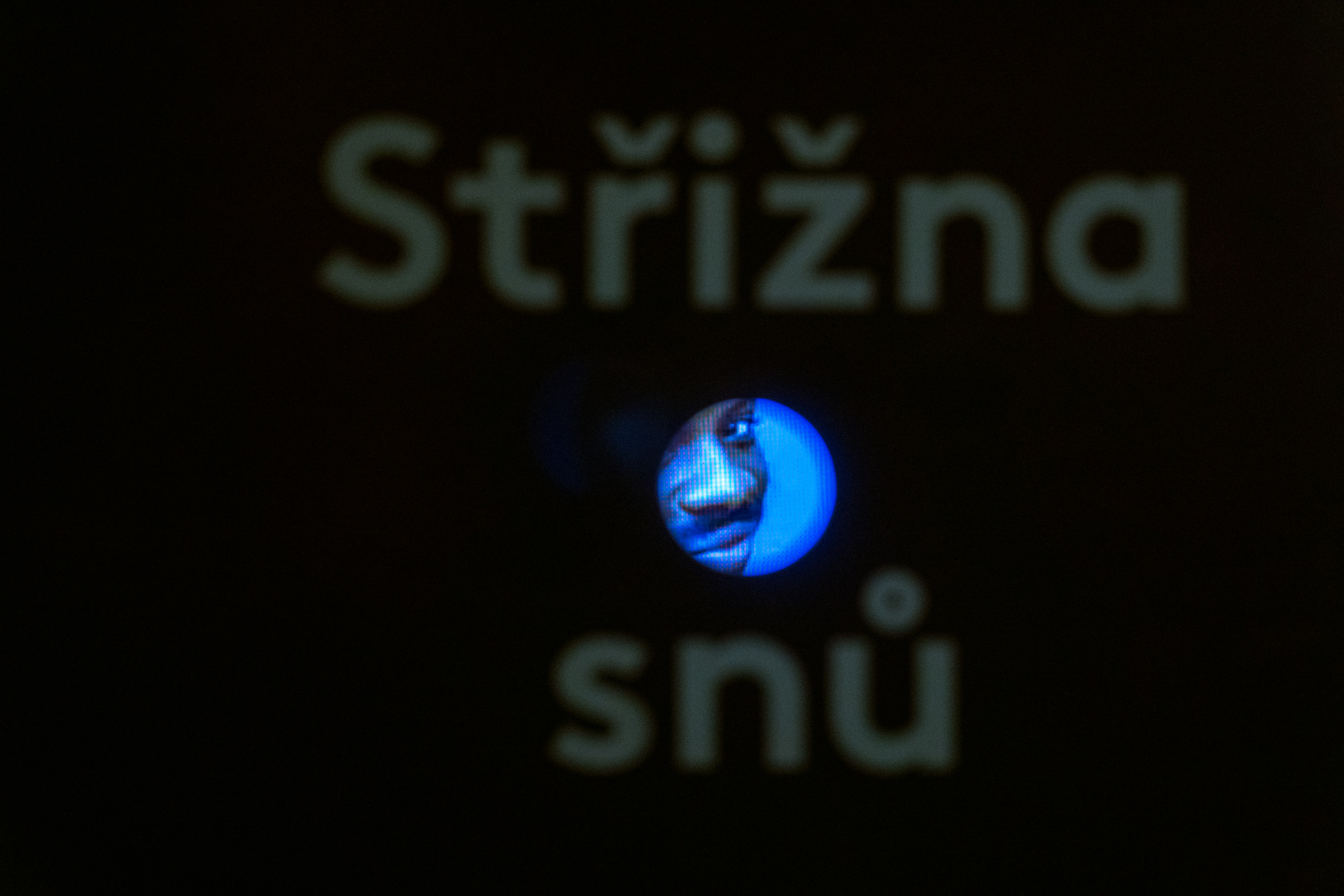 Výstavy Planeta Hlava a Sídliště