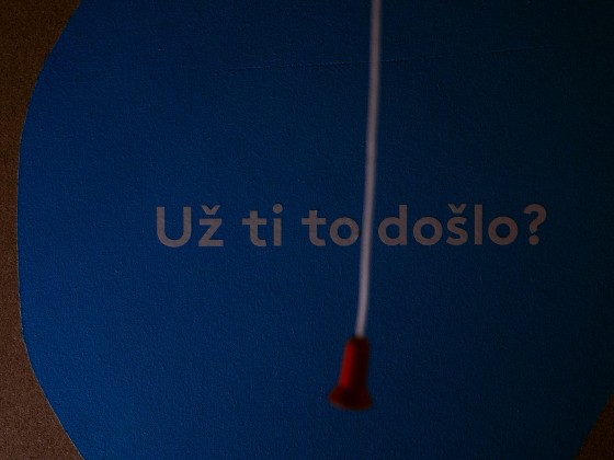 Výstavy Planeta Hlava a Sídliště | Markéta M. Černá