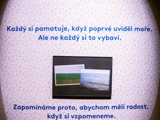 Výstavy Planeta Hlava a Sídliště | Markéta M. Černá