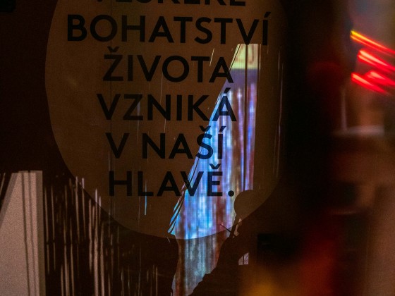 Výstavy Planeta Hlava a Sídliště | Markéta M. Černá