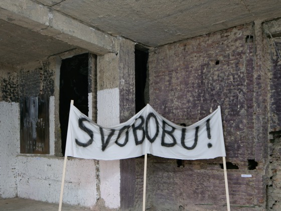 Who is the director | Tomáš Souček