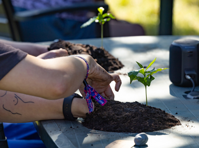 Cristina Maldonado (MEX): Infinite Game / 24.11.