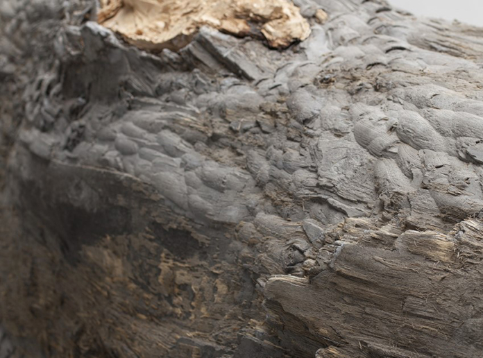 Galerie ProLuka: Radek Mužík – Hraničník IV